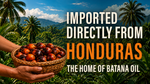 100% Unrefined Batana Oil 4oz